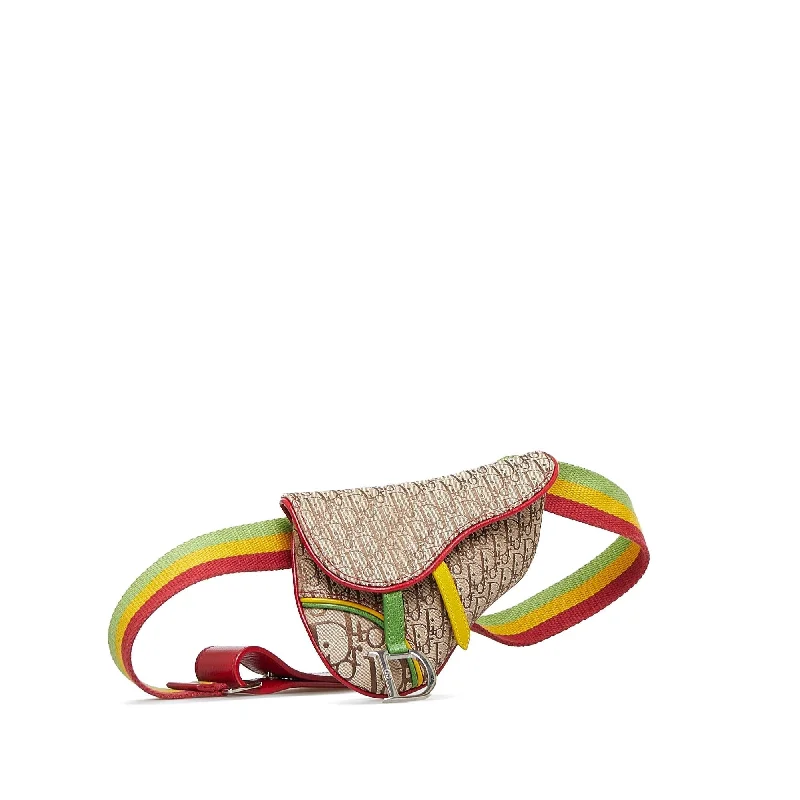 Christian Dior handbags with a detachable mirror for on - the - go touch - upsDior Dior Oblique Saddle Rasta Belt Bag (SHG-UFHVNe)