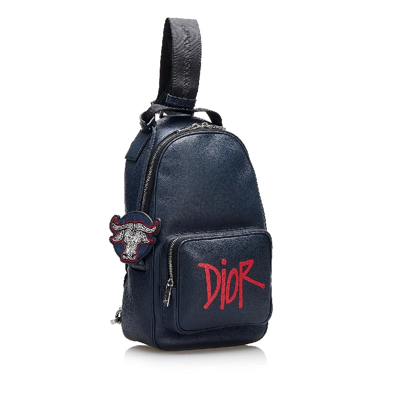 Trendsetting Christian Dior crossbody bags with a colorful strapDior Dior x Shawn Stussy Year of the Ox Sling (SHG-14wGt5)